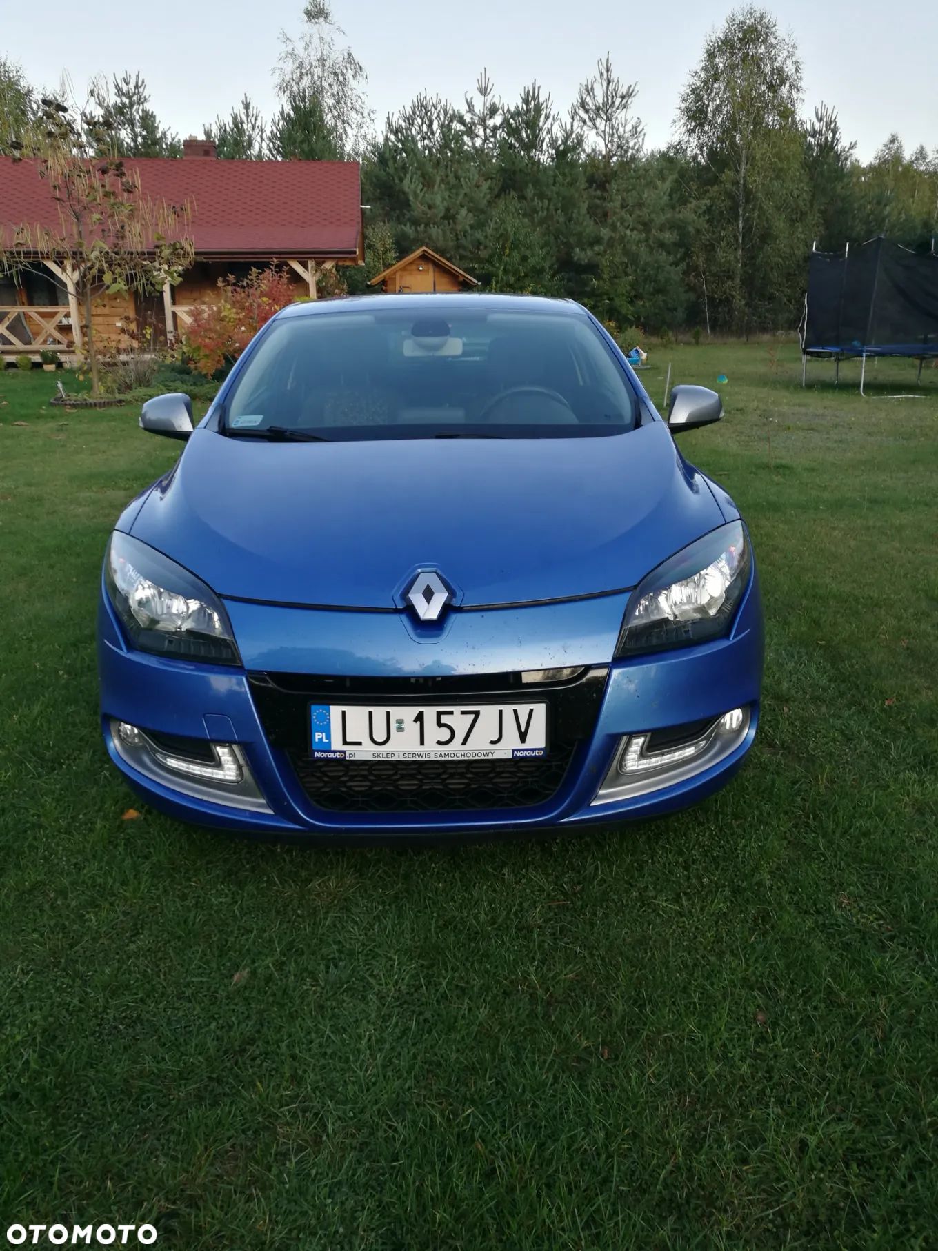 Renault Megane - 1