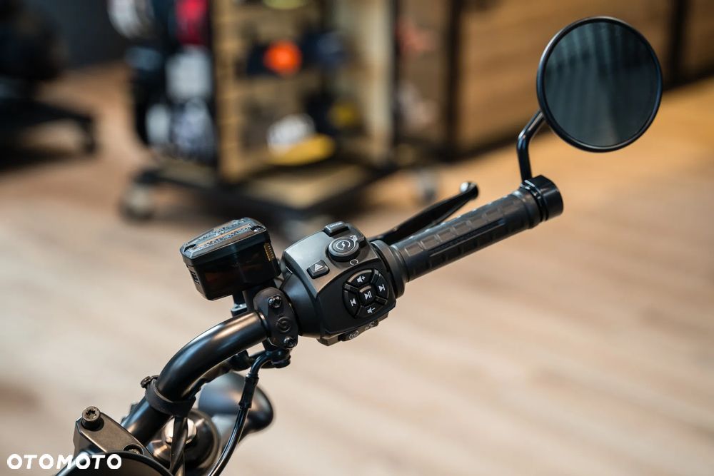 Harley-Davidson Sportster - 10