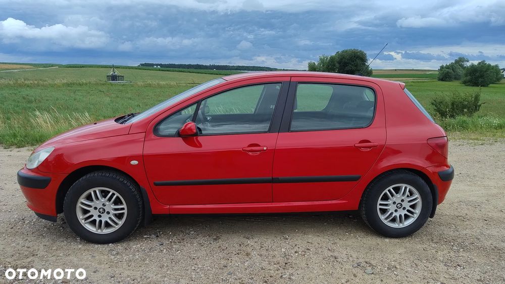 Peugeot 307 1.4 XR - 3