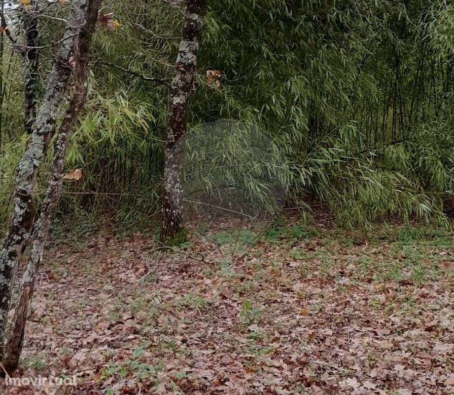 Quinta  para venda - Grande imagem: 5/34