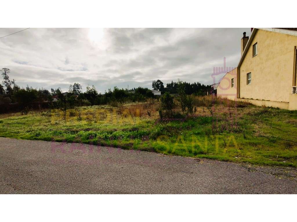 Terreno para construção com 2 artigos- Calvão-Vagos-Aveiro - Grande imagem: 3/8