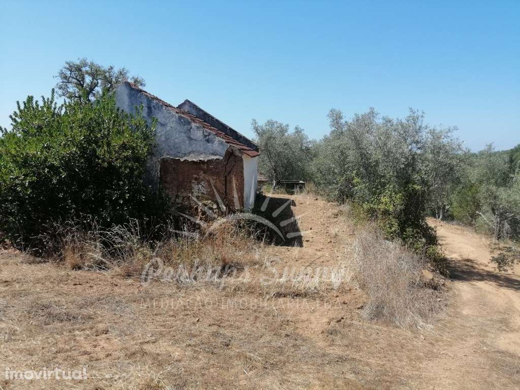 Quintinha - São Francisco da Serra - Grande imagem: 4/12