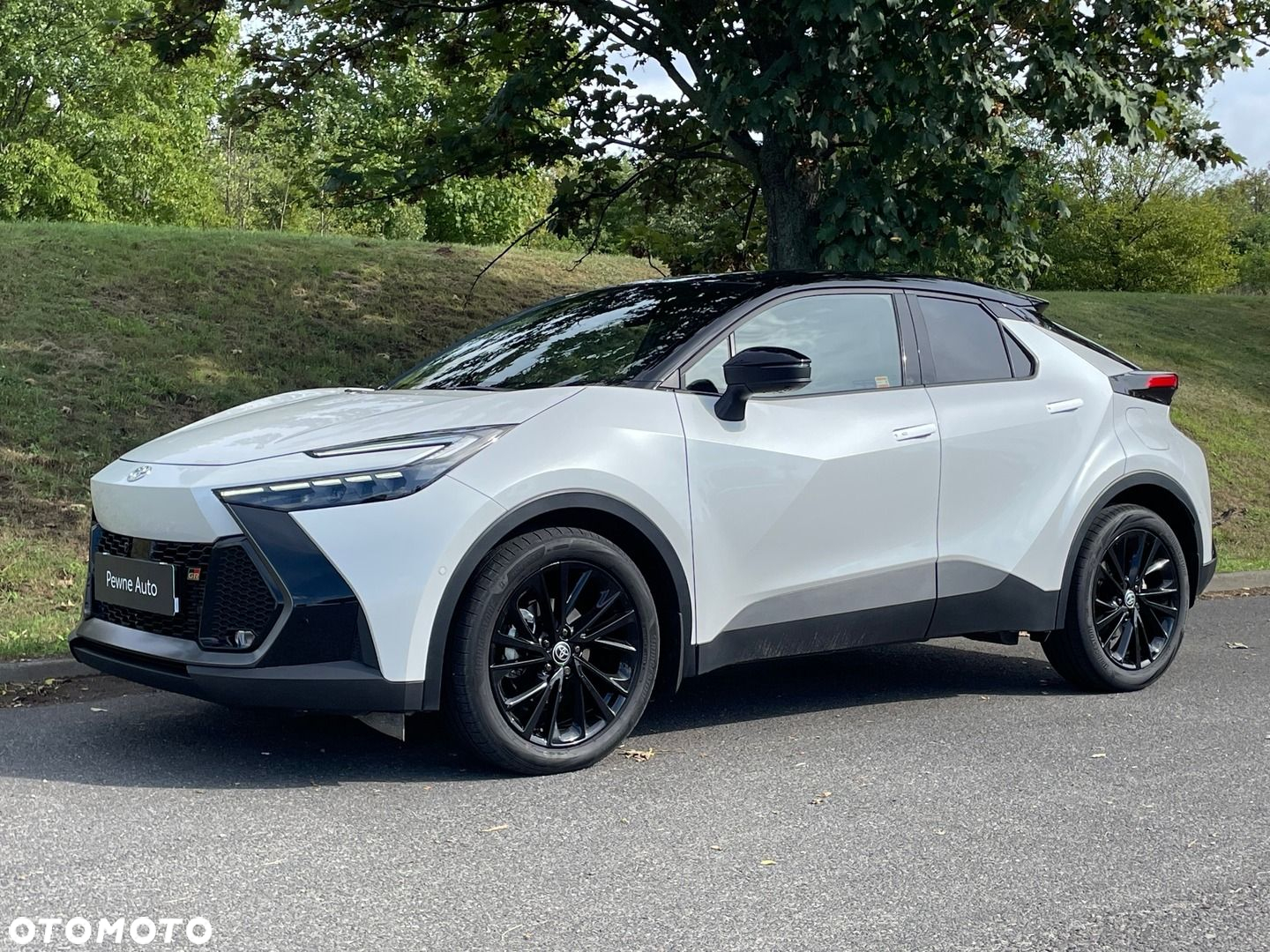 Toyota C-HR - 14