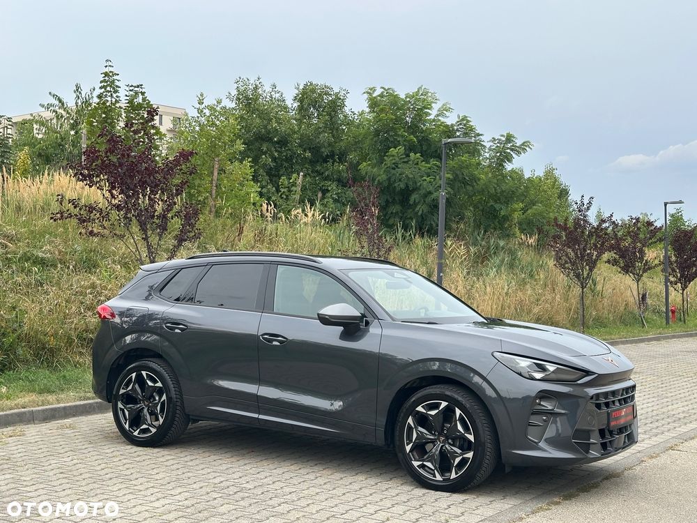 Cupra Terramar 2.0 TSI 4Drive DSG VZ - 17