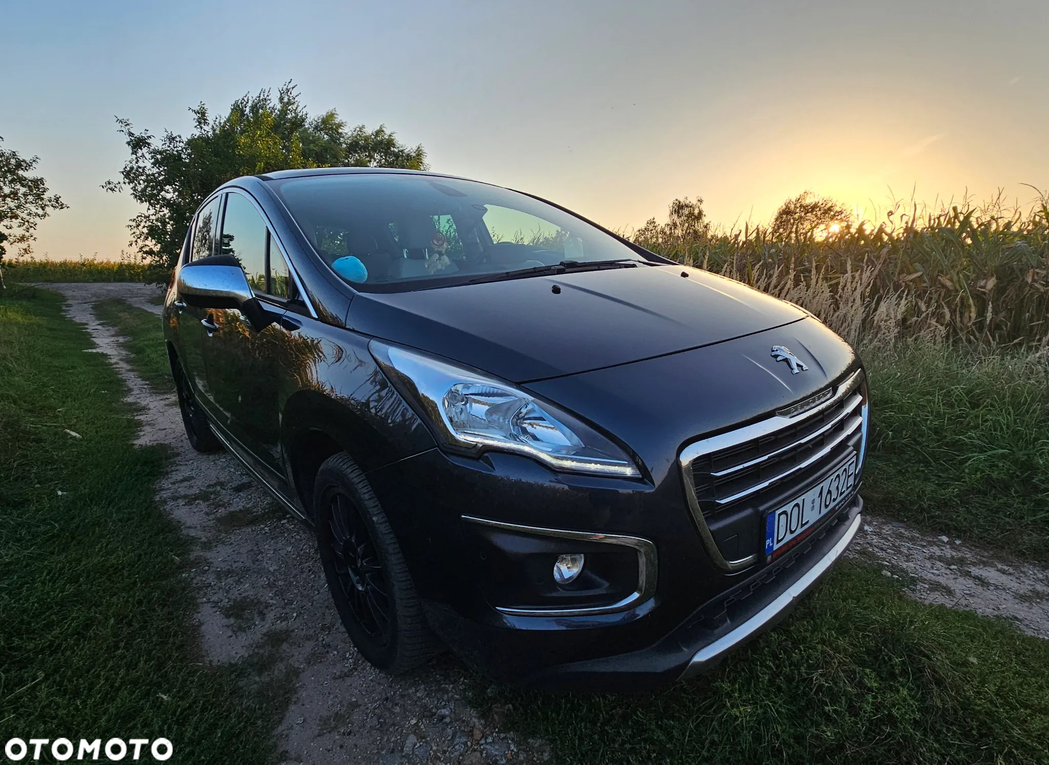 Peugeot 3008 - 13