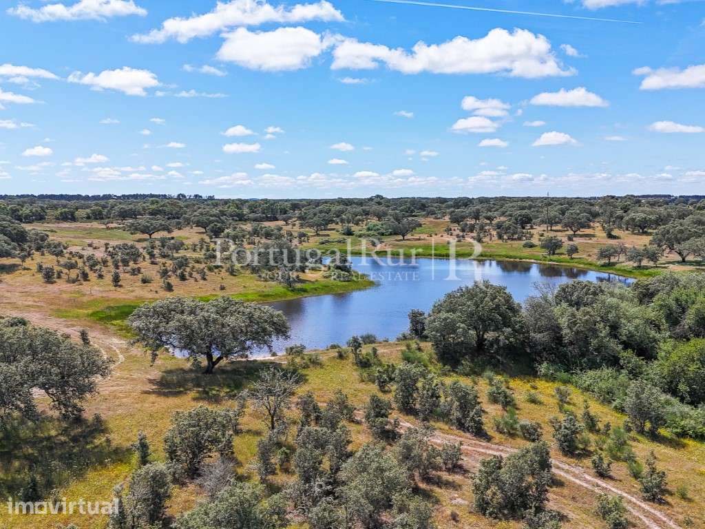 Herdade Ganadeira com 193 ha no Crato, Alentejo - Grande imagem: 5/60
