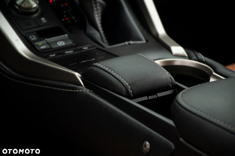Lexus NX 300 AWD Executive Line - 41