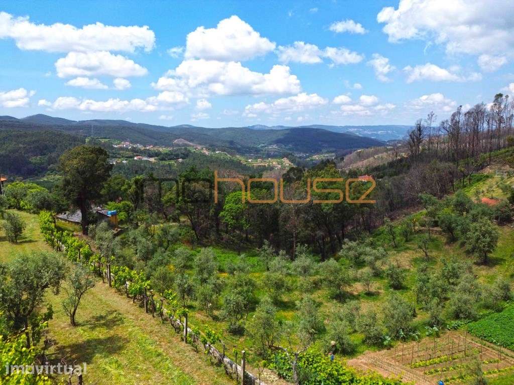Quinta agrícola - 40 minutos do Porto - Grande imagem: 3/59