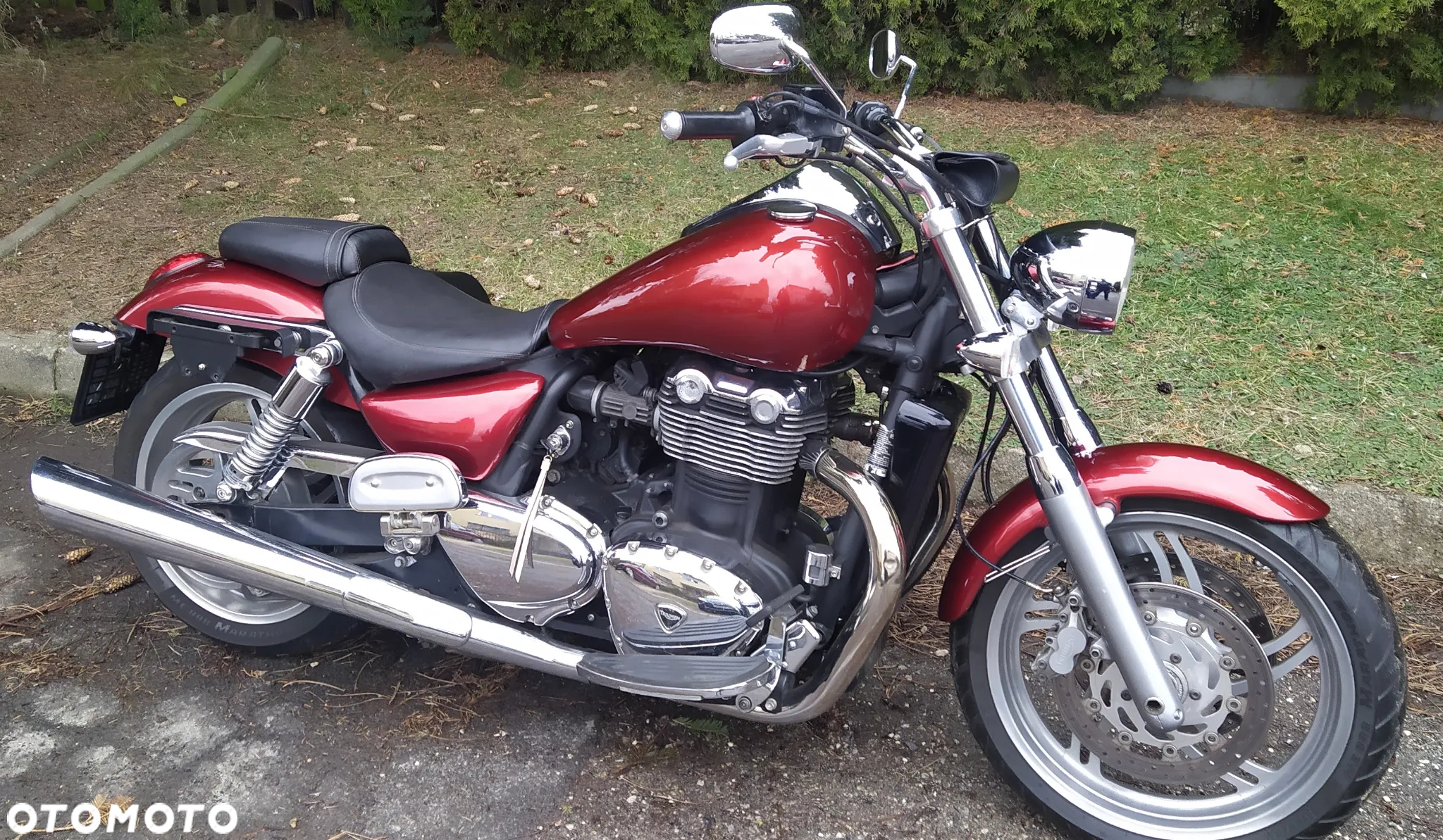 Triumph Thunderbird - 5