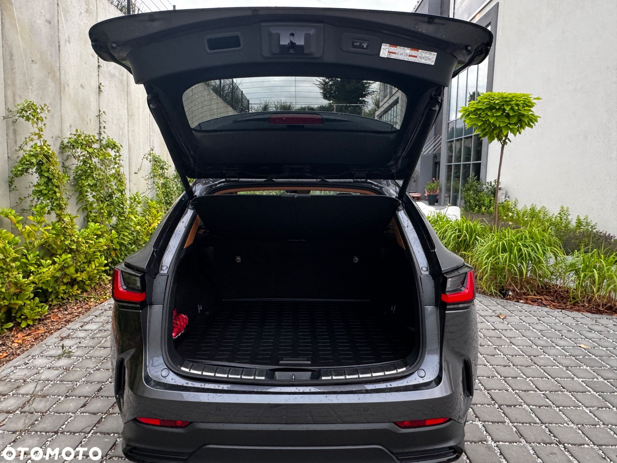 Lexus NX - 11