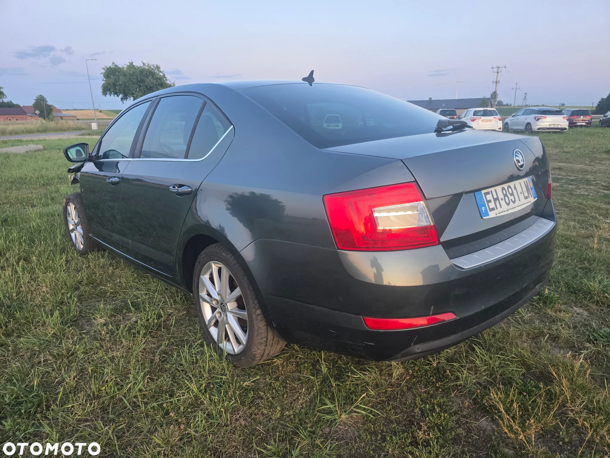 Skoda Octavia 1.6 TDI Edition - 6