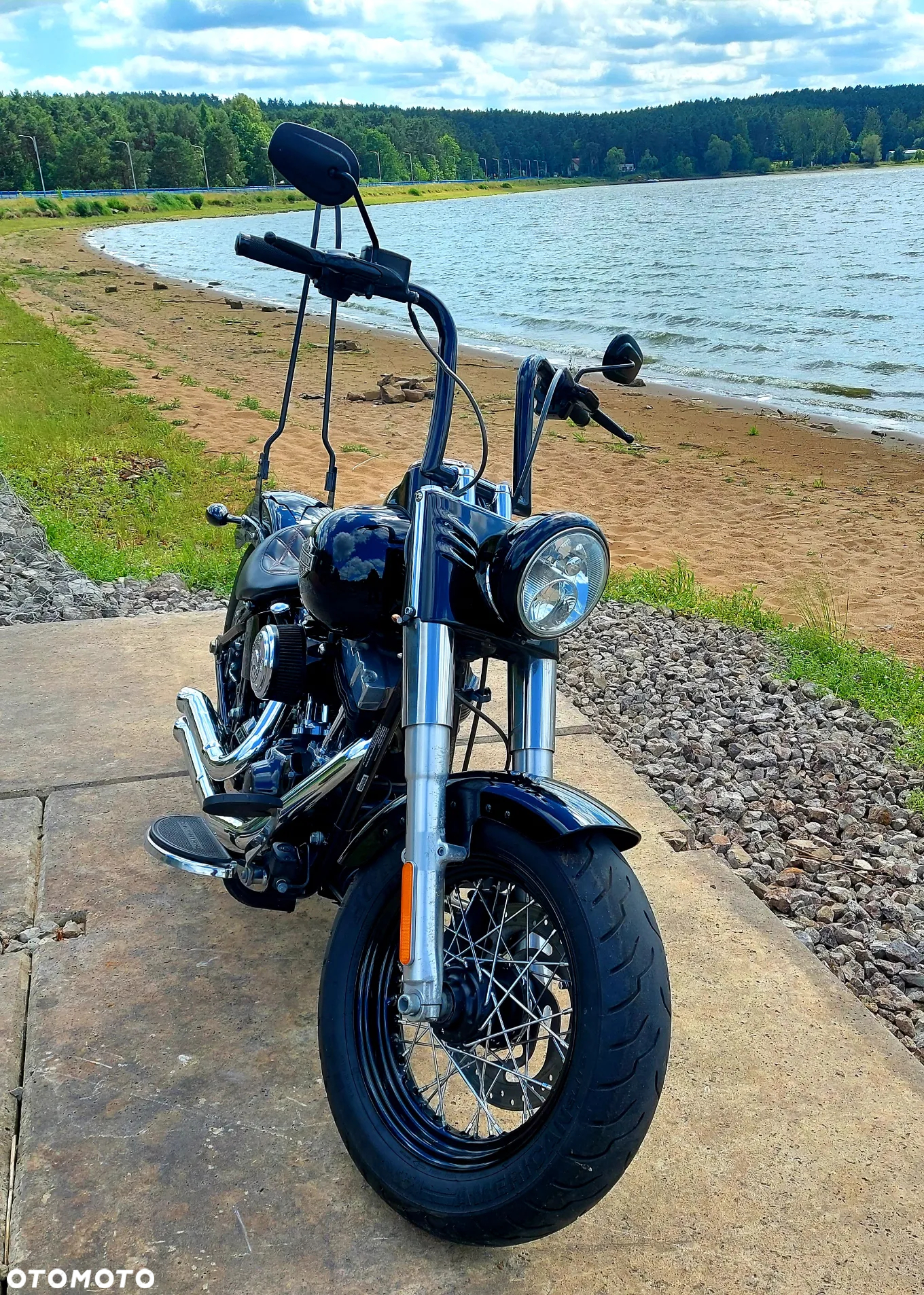 Harley-Davidson Softail Slim - 6
