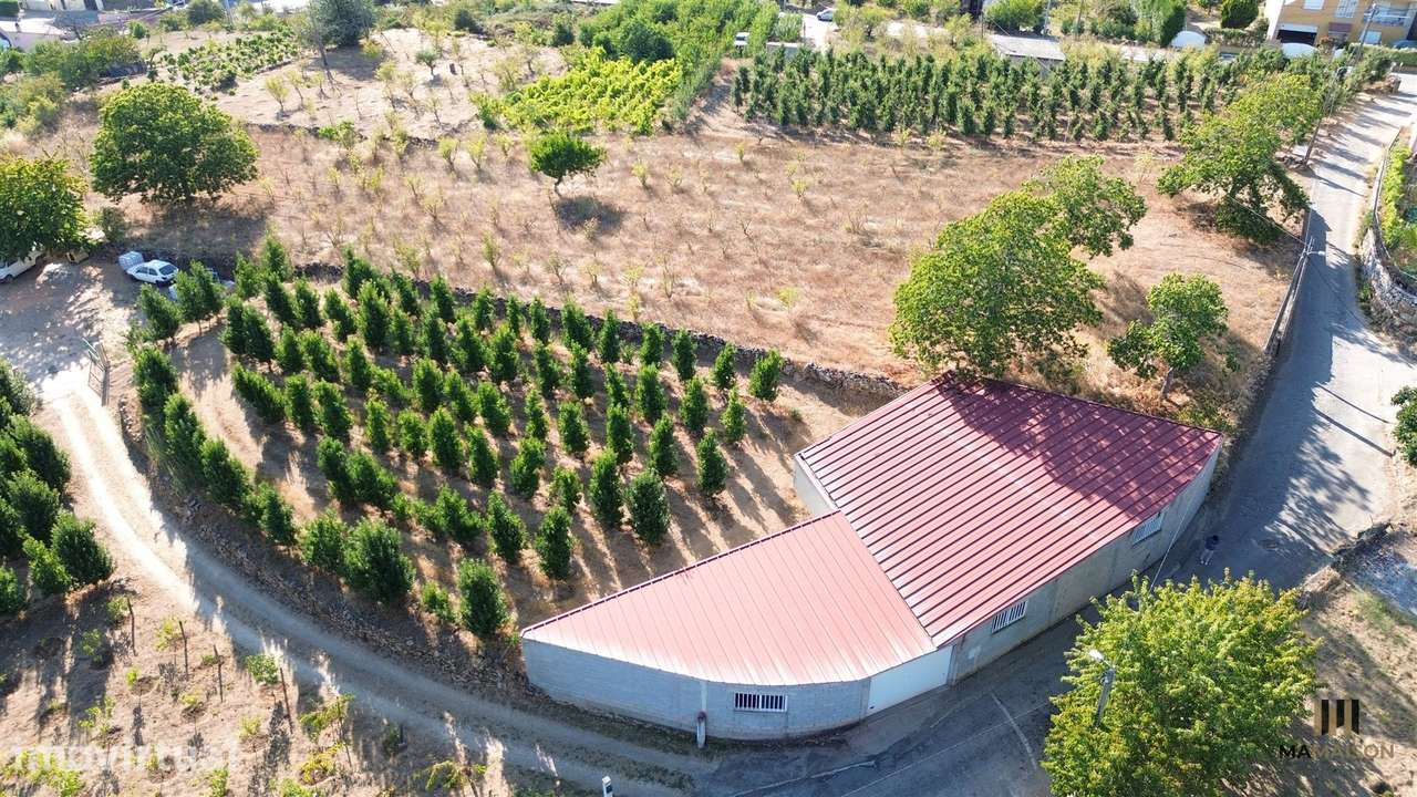 Terreno P/ Construção | 3000m2 | Cimbres - Grande imagem: 4/7