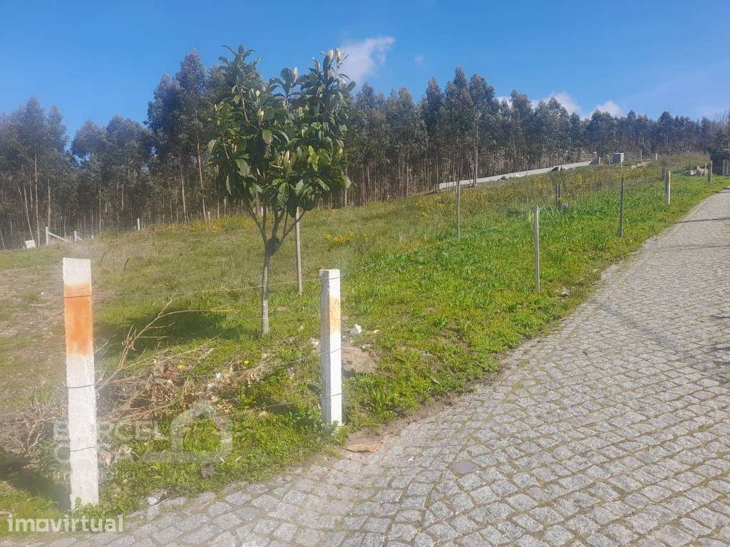 Terreno de construção em Feitos - Barcelos - Grande imagem: 5/15