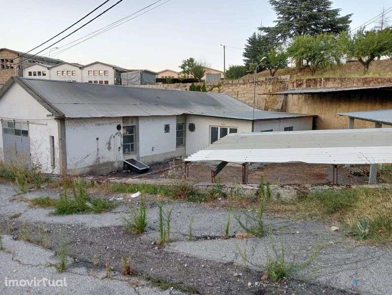 Alugo / vendo armazém situado no Cachao a 10 minutos de Mirandela - Grande imagem: 4/6