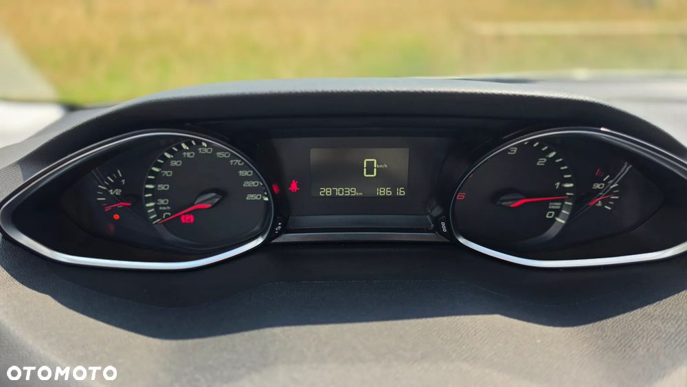 Peugeot 308 1.6 BlueHDi Active S&S - 13