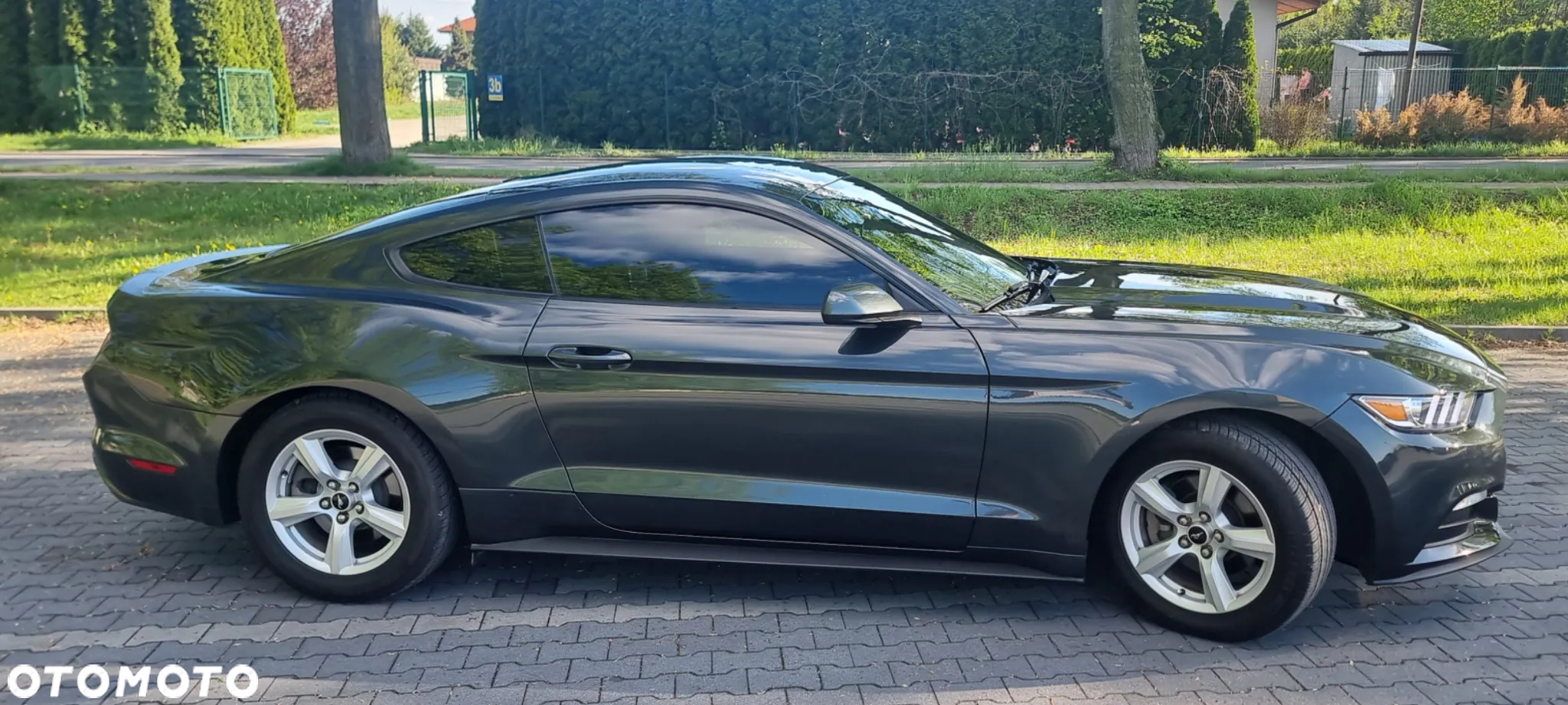 Ford Mustang - 3