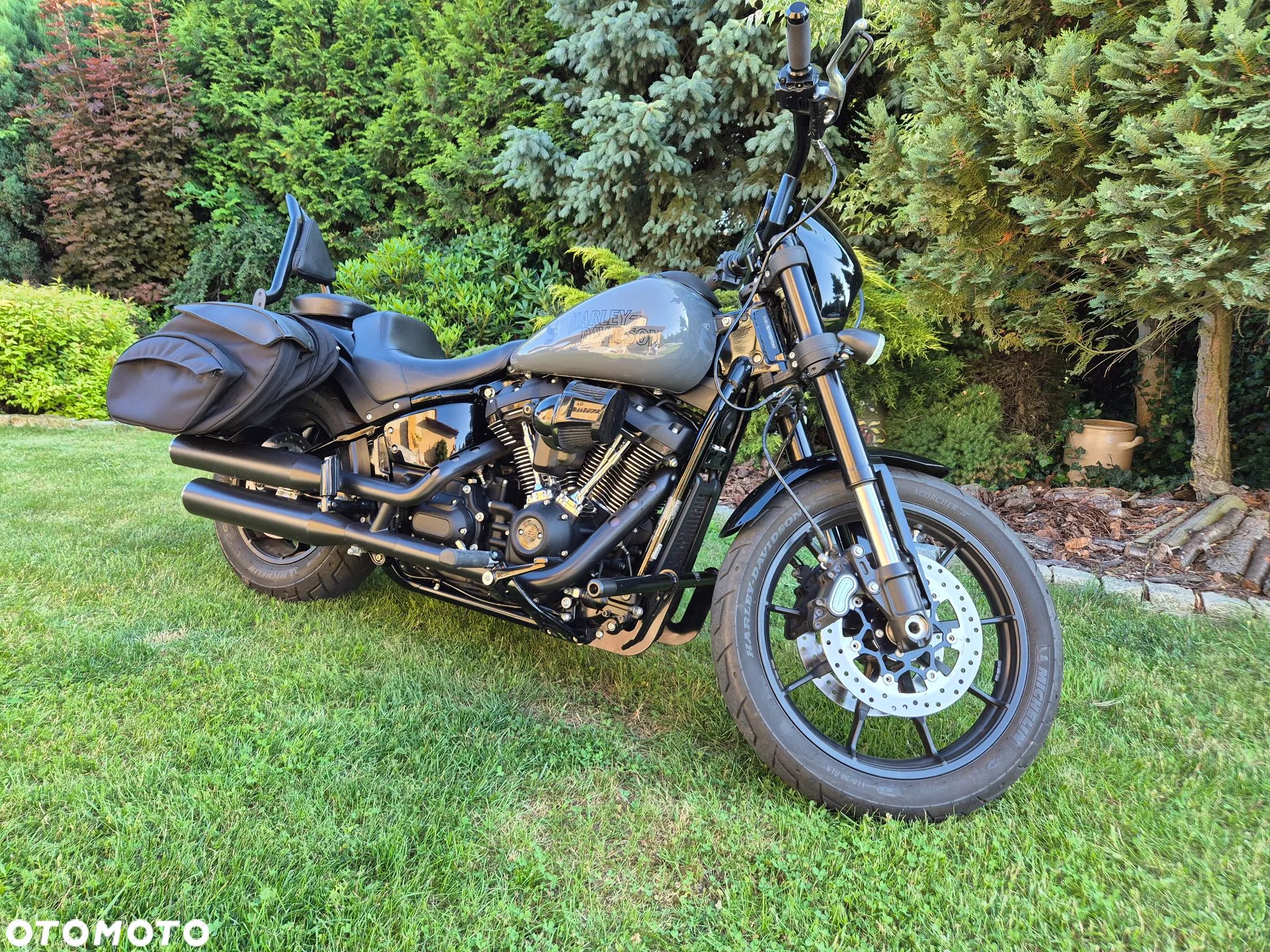 Harley-Davidson Softail Low Rider - 1
