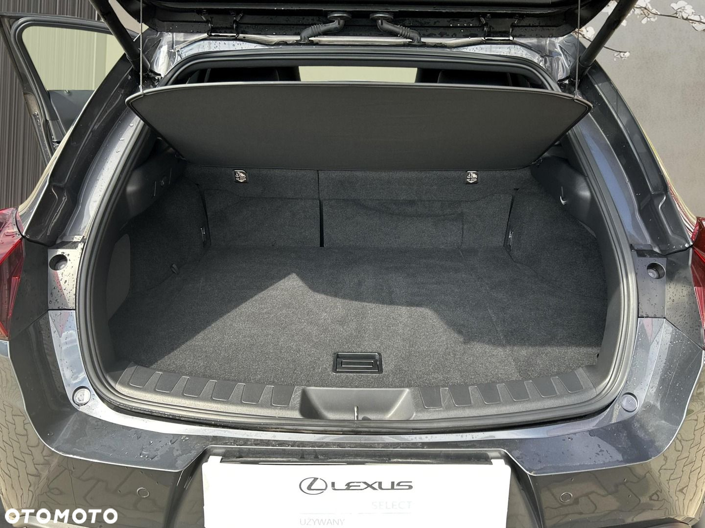 Lexus UX 250h GPF F Sport Design 2WD - 22