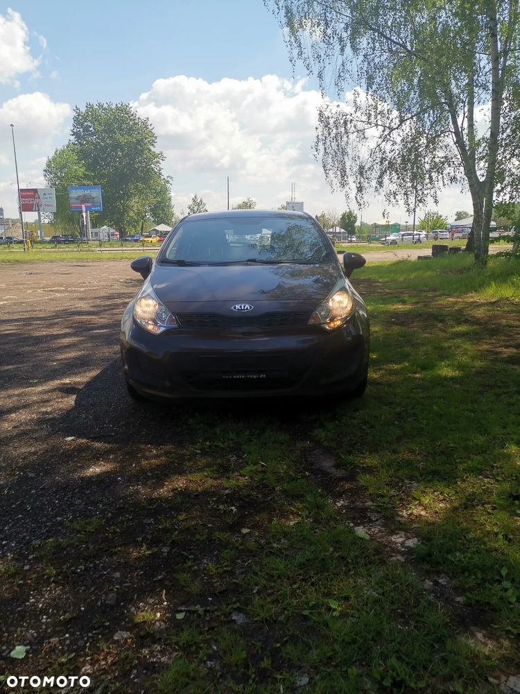 Kia Rio - 25