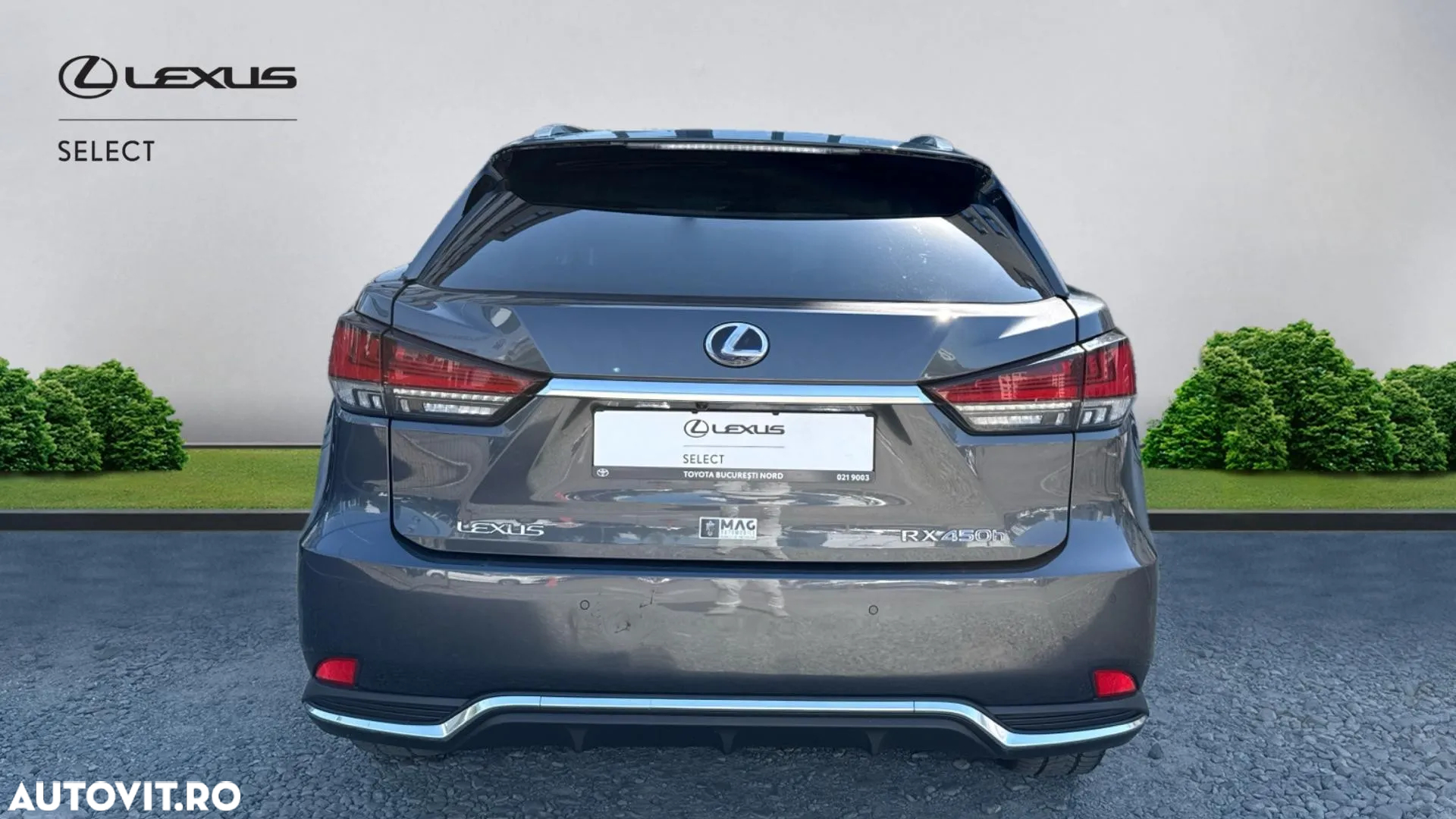 Lexus Seria RX 450h AWD Executive Plus Sunroof - 5