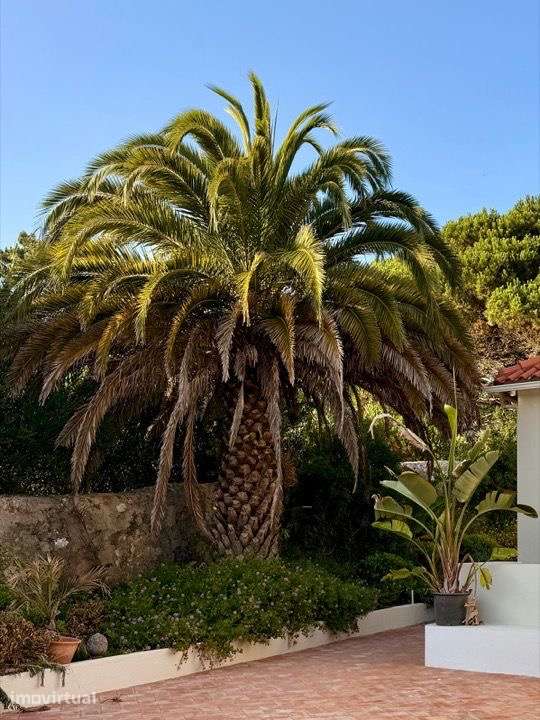 Casa de sonho, 5T, piscina, sauna, gr jardim, localização tranquila - Grande imagem: 4/37