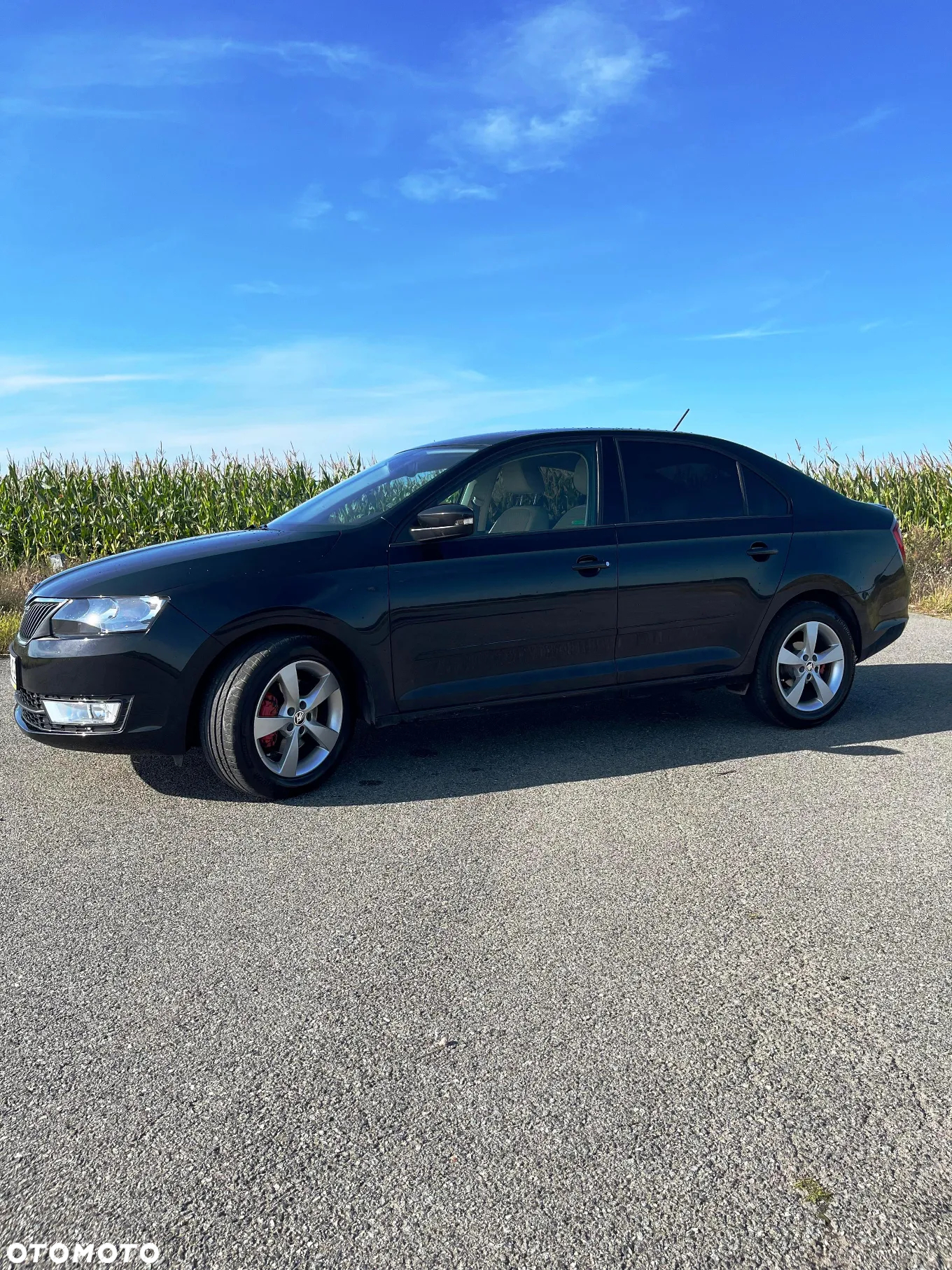 Skoda RAPID 1.4 TSI Style DSG - 4