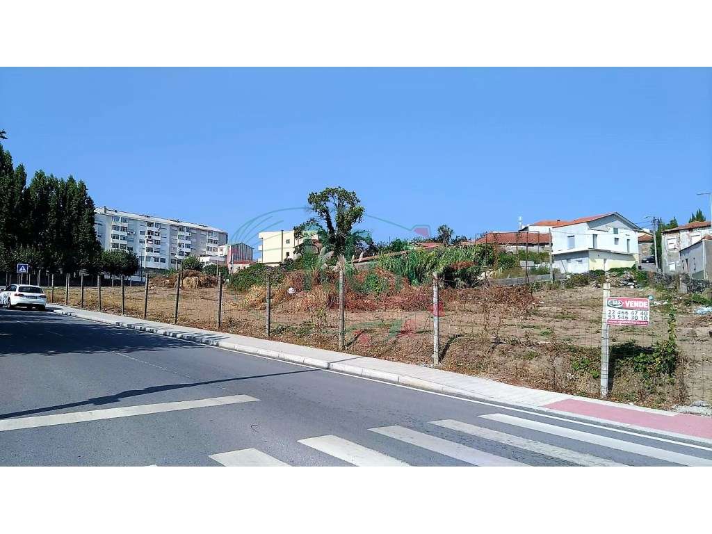 Terreno (4.950m2) - Valbom - Grande imagem: 4/4