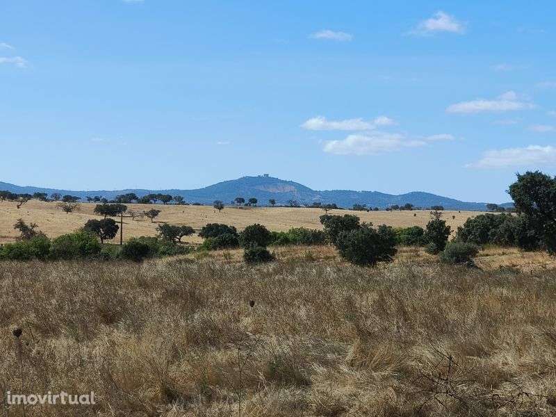 Propriedade junto a Estremoz - Grande imagem: 5/5