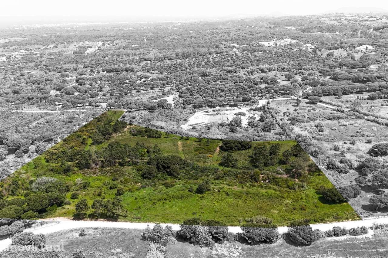 Terreno Rústico com Vista Mar e Viabilidade Construtiva em Azóia, Sesi - Grande imagem: 4/13