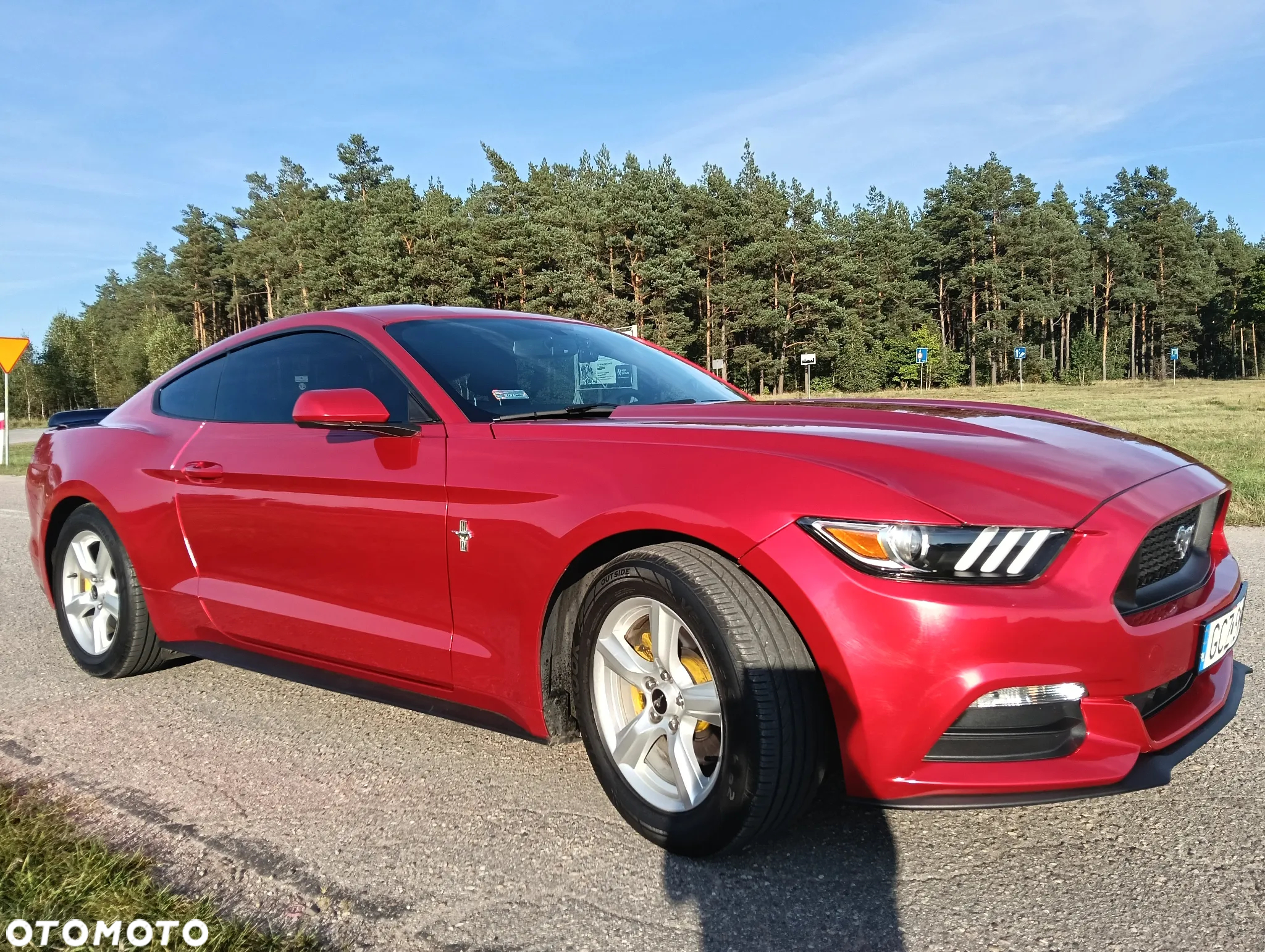 Ford Mustang - 7