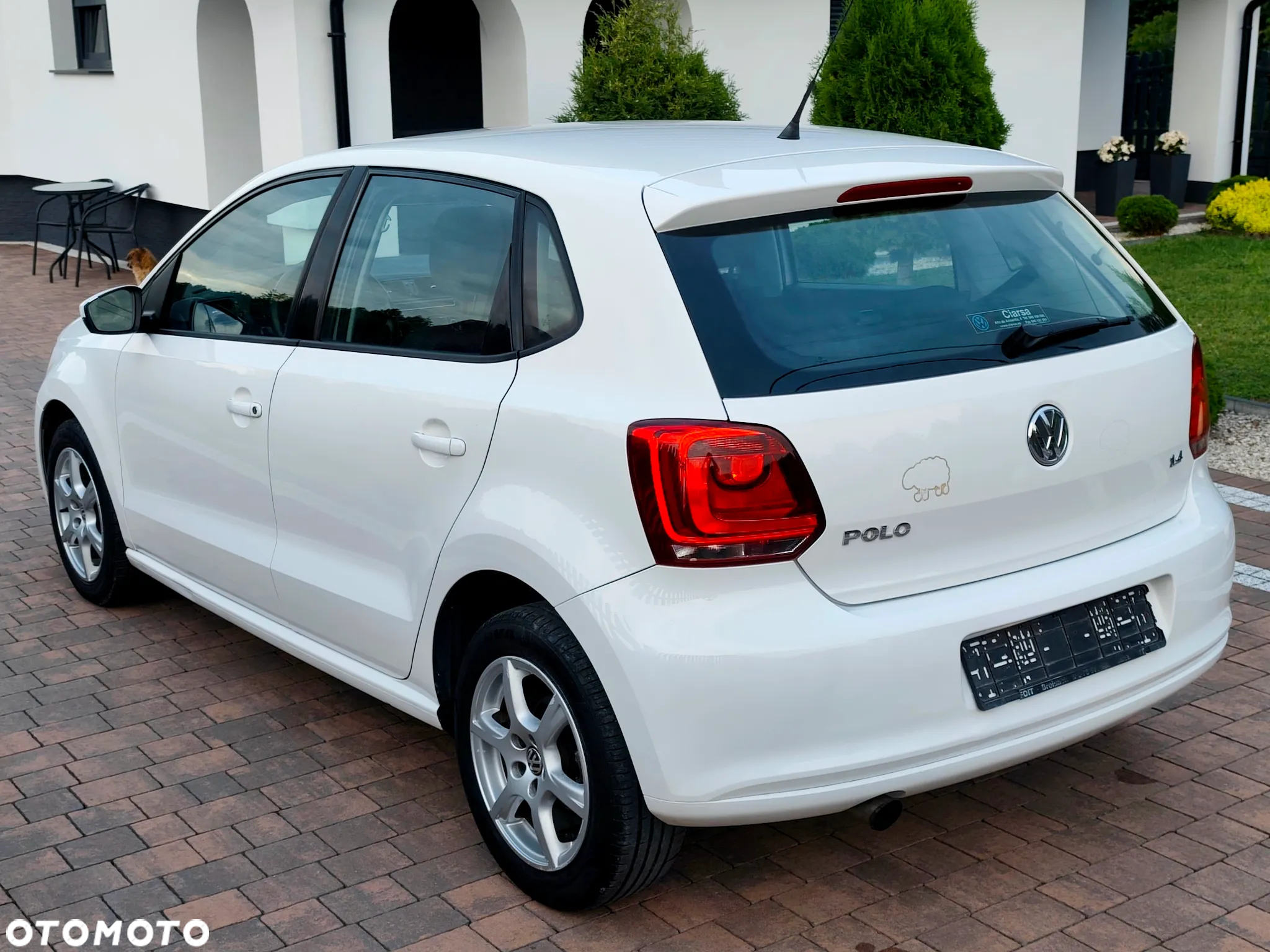 Volkswagen Polo - 23