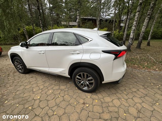 Lexus NX 300h Elegance Optimum AWD - 5