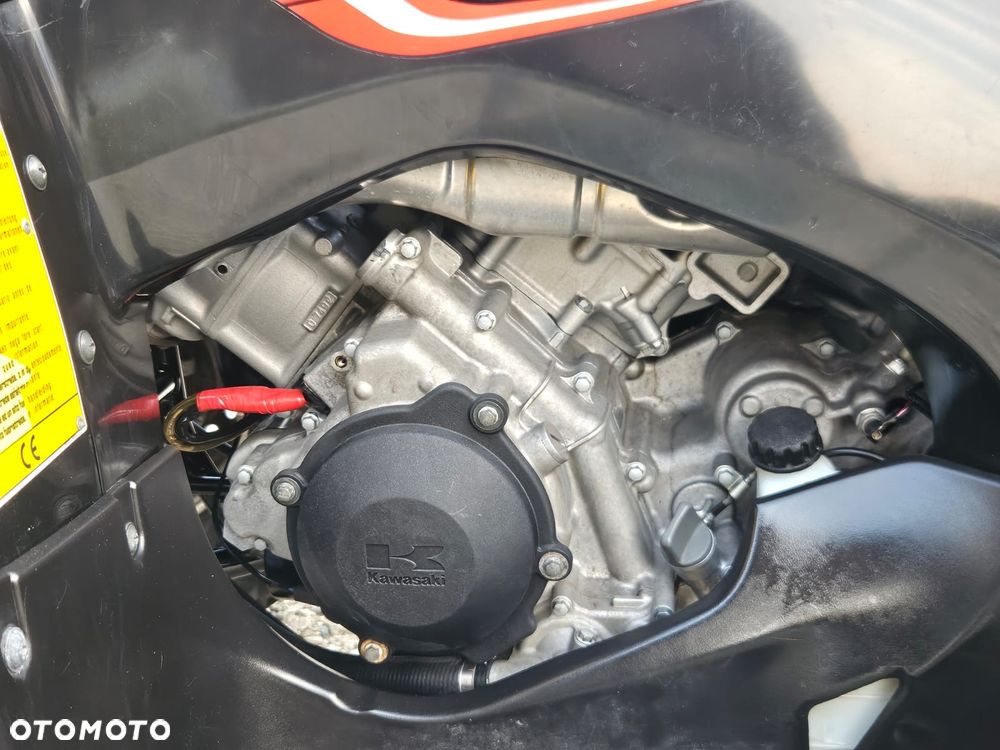 Kawasaki Brute Force - 24