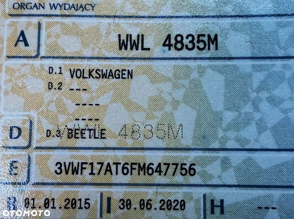 Volkswagen Beetle - 8