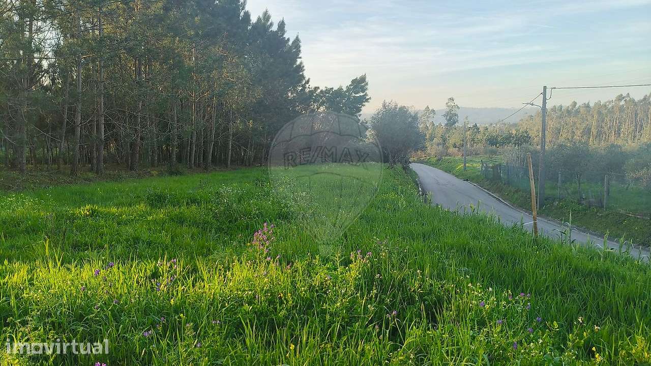 Terreno  para venda - Grande imagem: 5/7