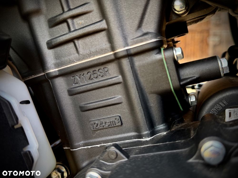 UM Renegade Freedom - 26