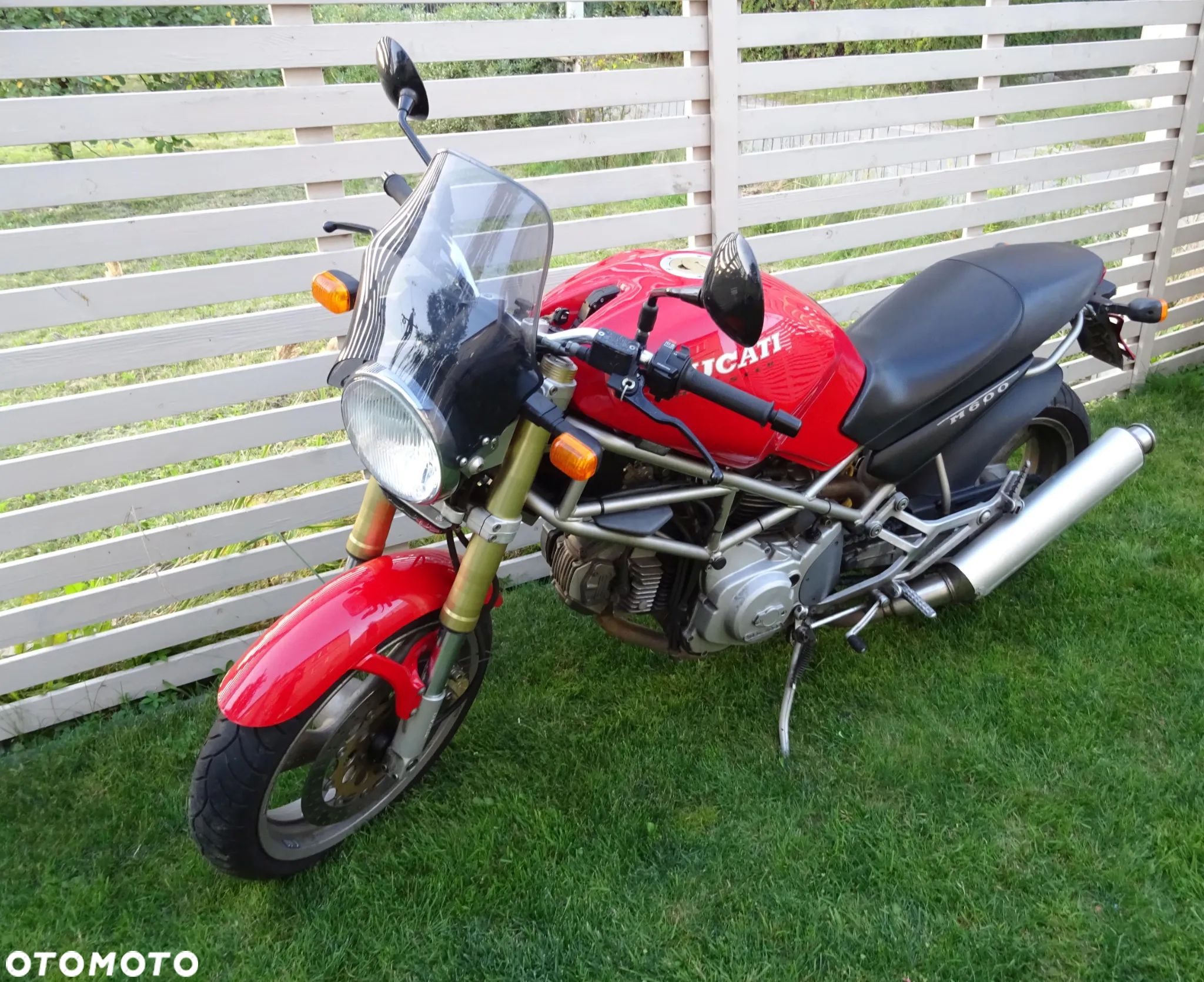 Ducati Monster - 1