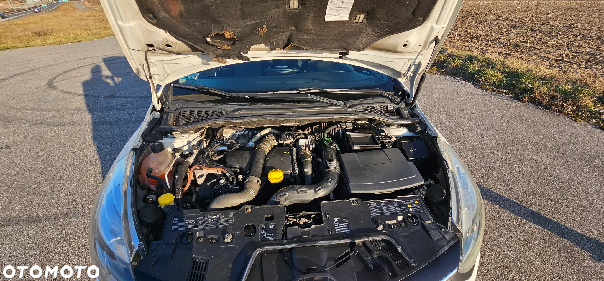 Renault Clio - 24
