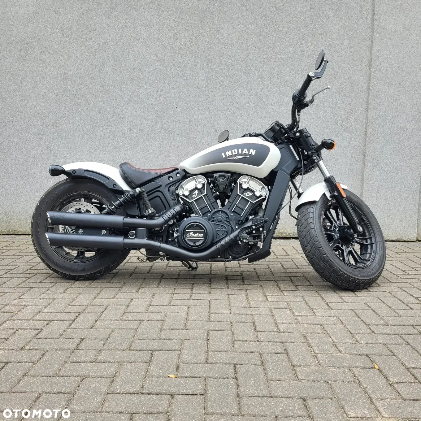 Indian Scout - 8
