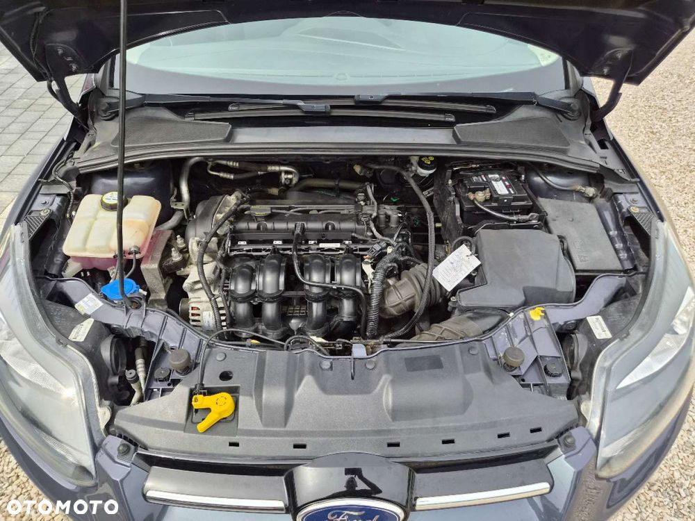 Ford Focus - 31