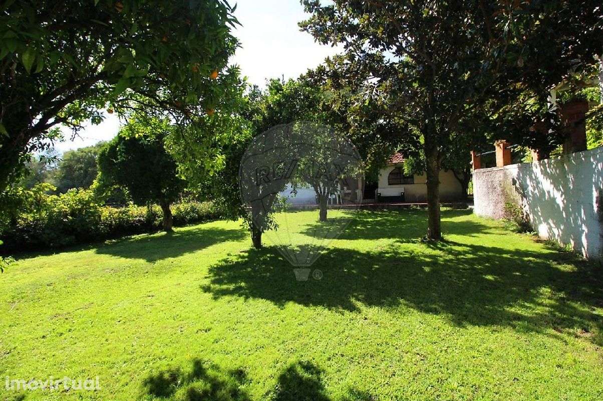 Palacete T10 para venda - Grande imagem: 4/46