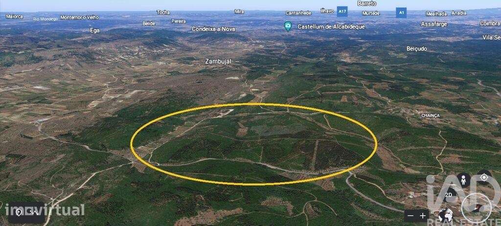 Terreno Agrícola em São Miguel, Santa Eufémia e Rabaçal de 69250,00 m2 - Grande imagem: 2/5