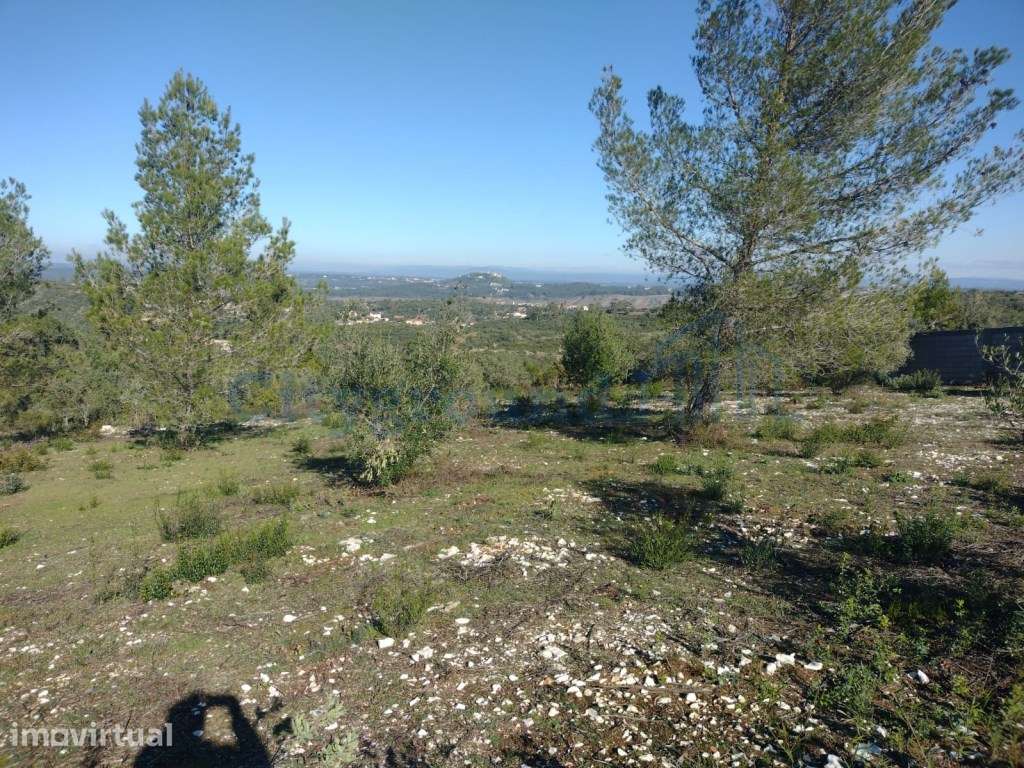 Terreno de 1505m2 urbanizável em Ortiga, Fátima com vista Castelo O... - Grande imagem: 4/19