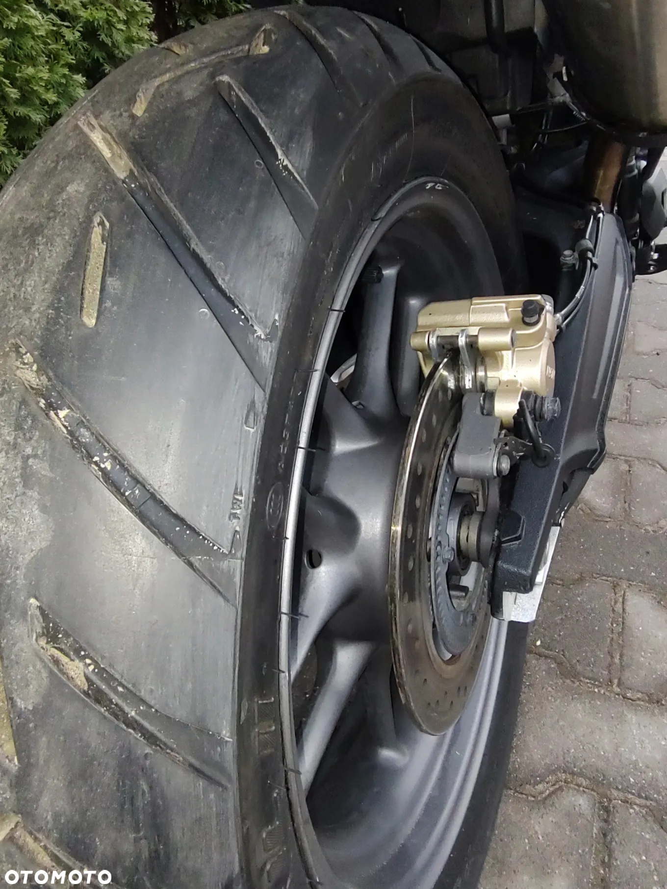 Triumph Tiger - 17