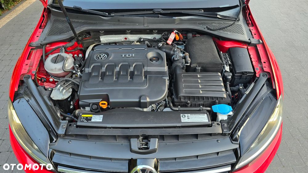 Volkswagen Golf 1.6 TDI DPF DSG Comfortline - 14
