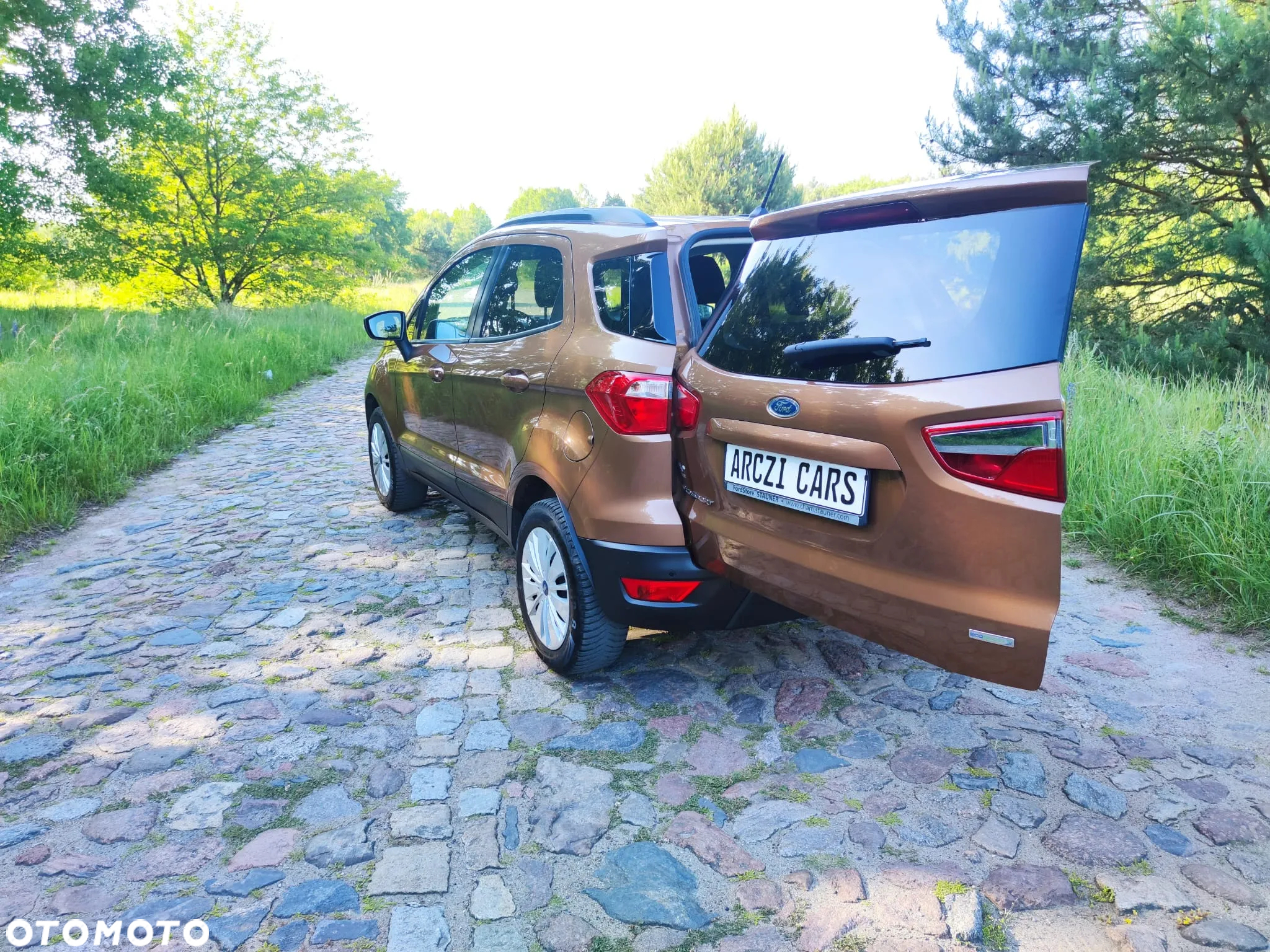 Ford EcoSport 1.0 EcoBoost - 18