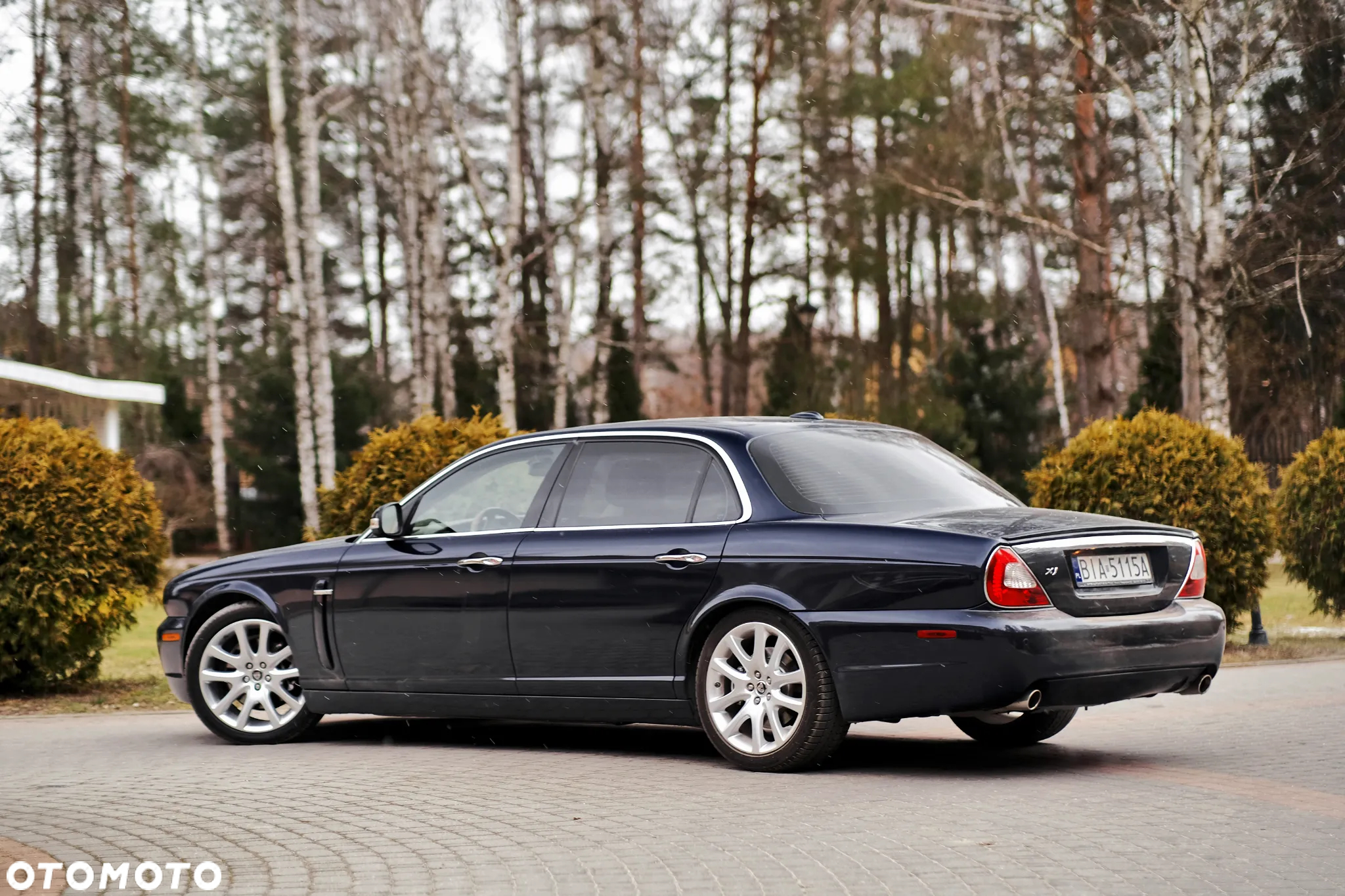 Jaguar XJ XJ8 4.2 LWB Executive - 8