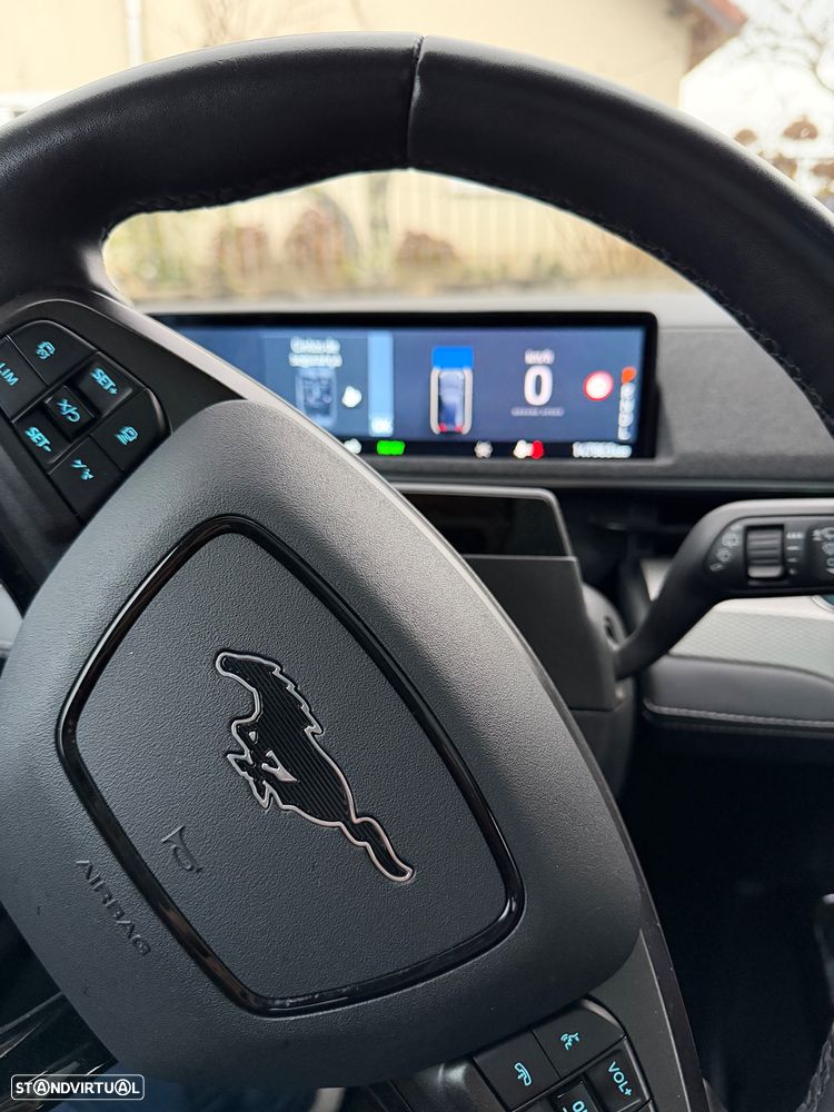 Ford Mustang Mach-E Standard - 14