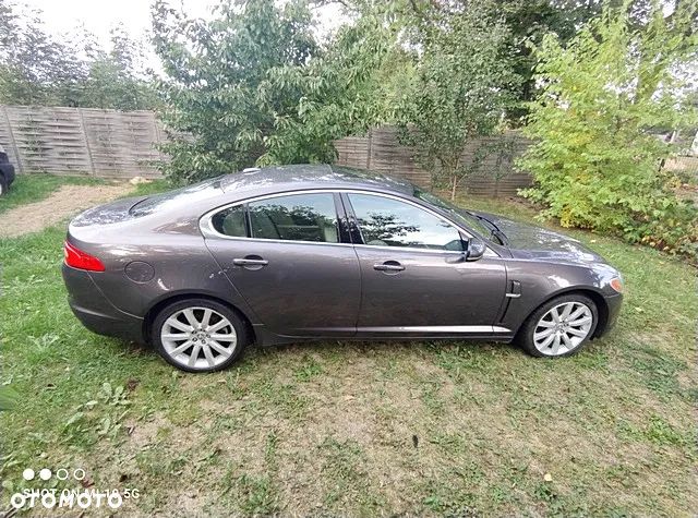 Jaguar XF 3.0 V6 D Luxury - 7